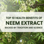 neem leaves benefits​