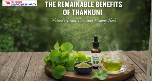 Thankuni pata benefits