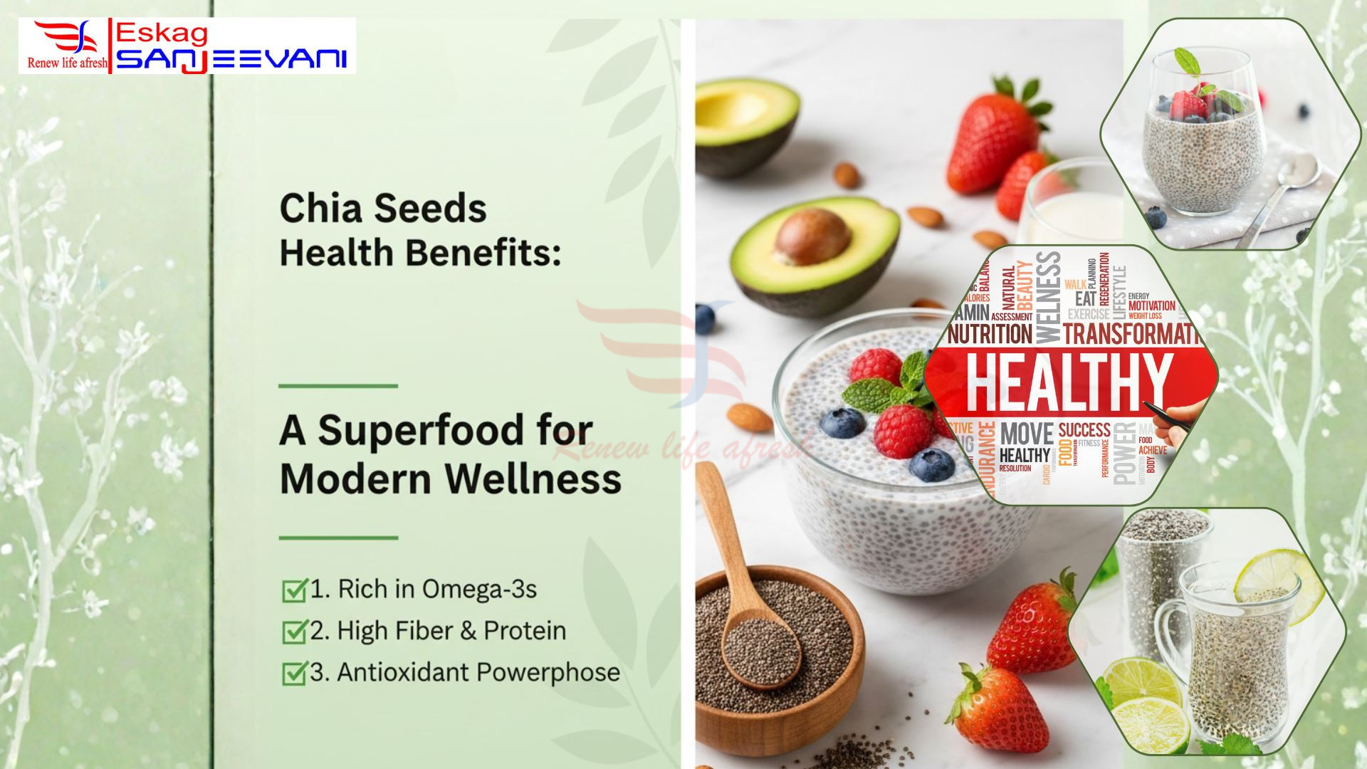 The Health Benefits of Chia Seeds You Should Know