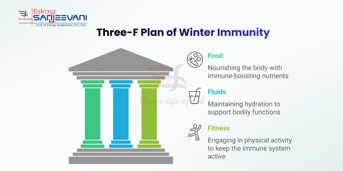 Three-F Plan of Winter Immunity