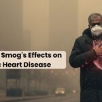 Wintertime Smog's Effects on Ischemic Heart Disease