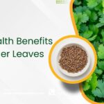 Secret health benefits of coriander leaves