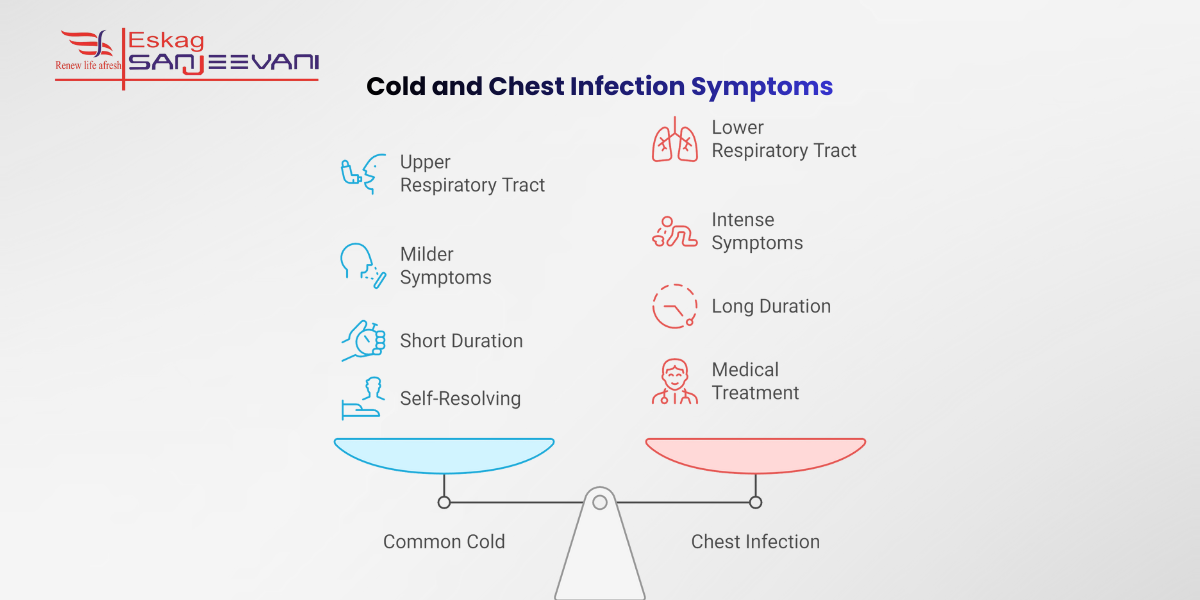 Cold and Chest Infection Symptoms