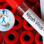 What is Nipah Virus