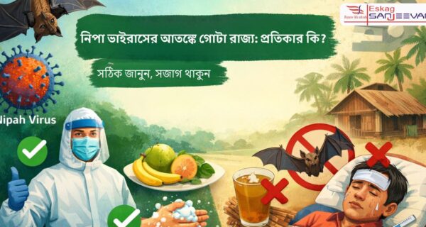 নিপা ভাইরাস আসলে কী