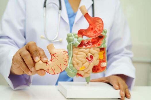 Gastroenterology