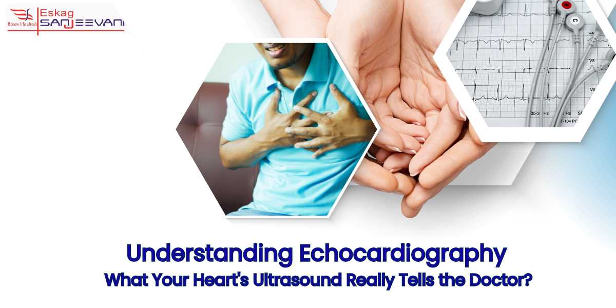 Understanding echocardiography