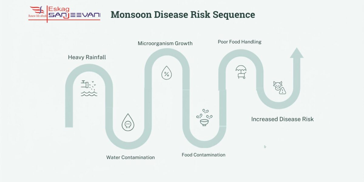 monsoon disease risk