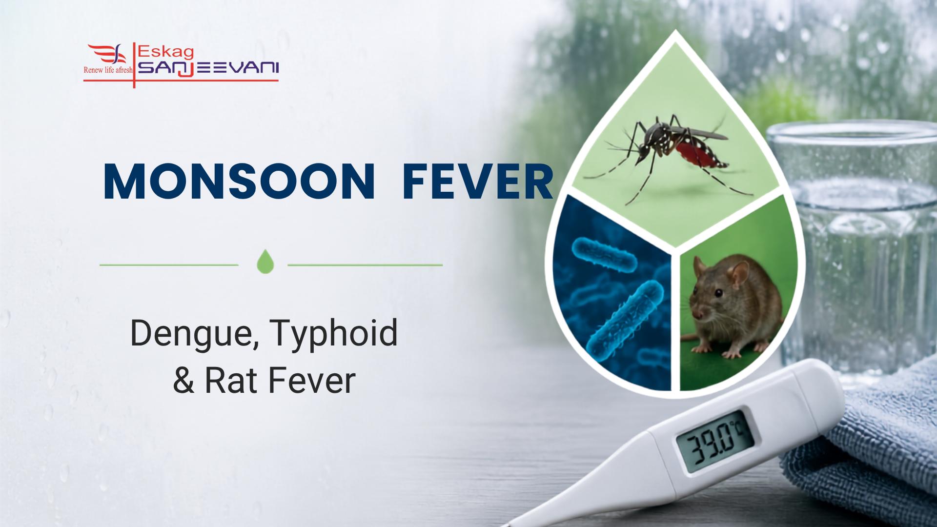 Monsoon Fever Symptoms: Dengue, Typhoid, and Rat Fever