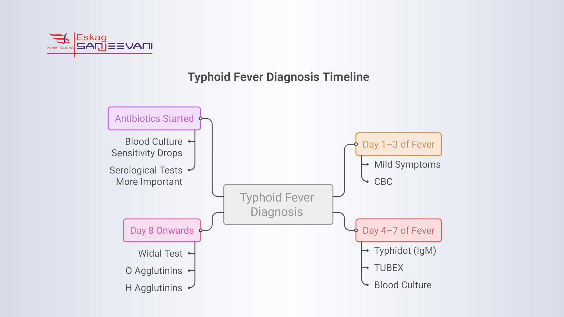 typhoid fever diagnosis