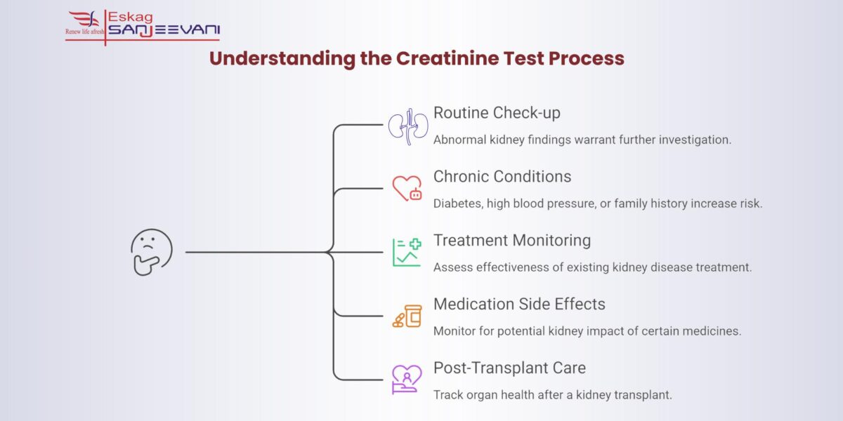 understanding the creatinine test process