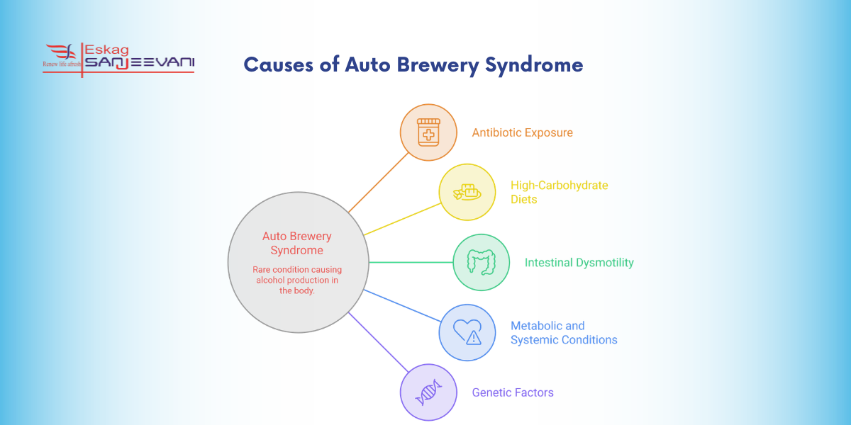 Causes of Auto Brewery Syndrome