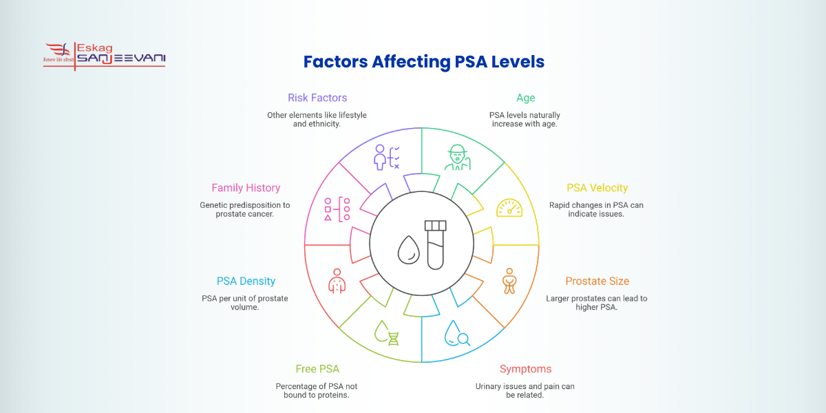 Factors Affecting PSA Levels