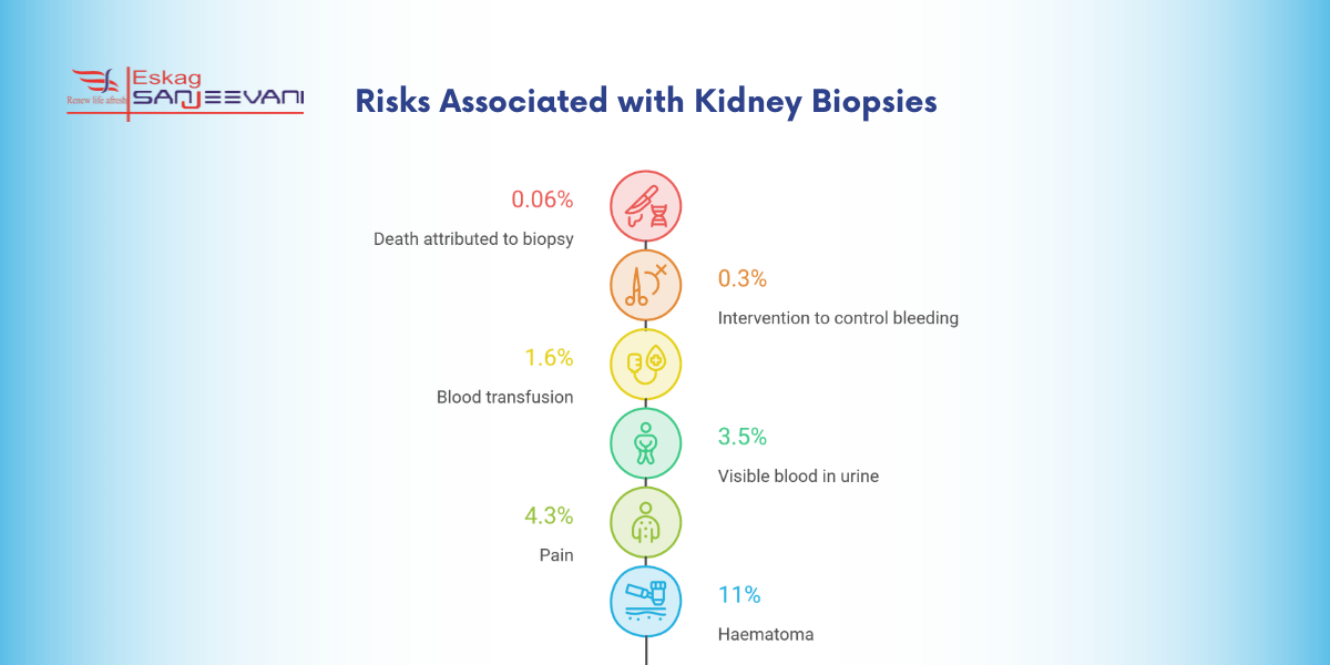 Risks Associated with Kidney Biopsies