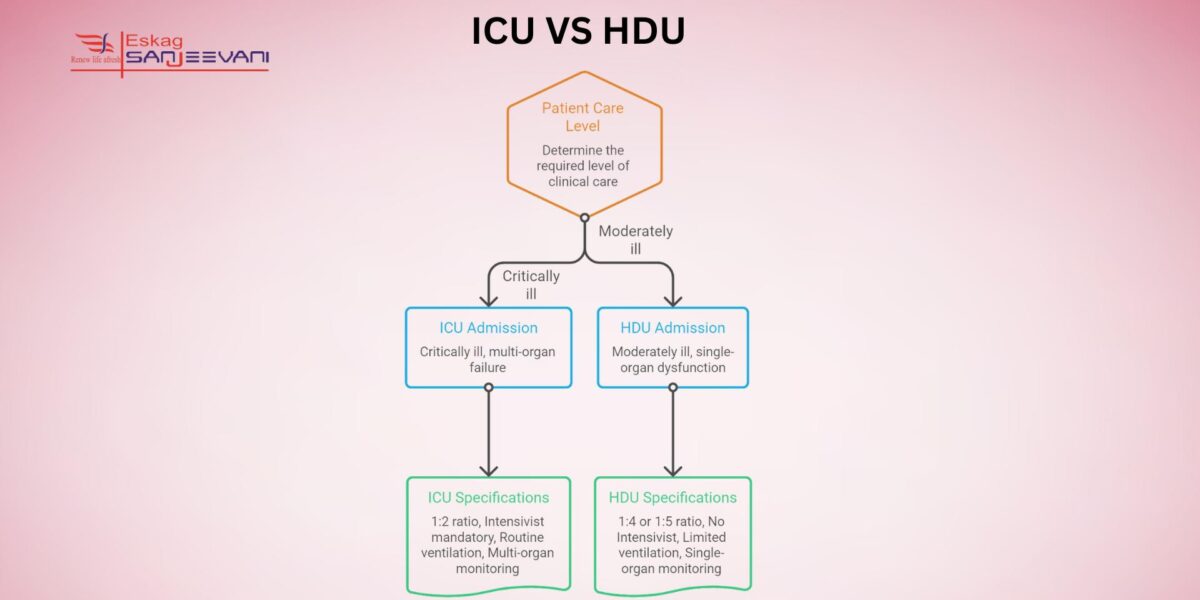difference between icu and hdu